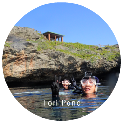 Tori Pond