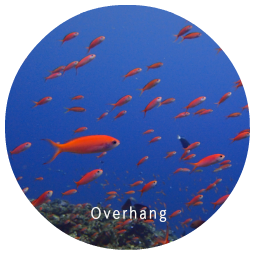 Overhang