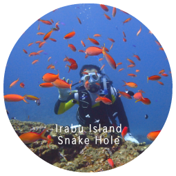 Introductory Diving Irabu Island Snake Hole