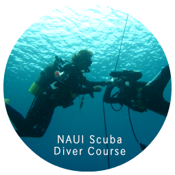 NAUI Scuba Diver Courses