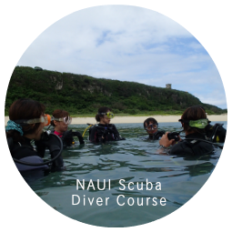 NAUI Scuba Diver Courses