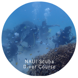 NAUI Scuba Diver Courses