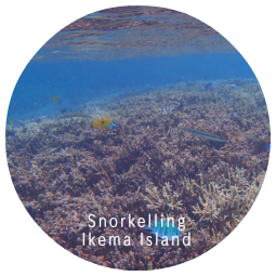 Snorkelling Ikema Island