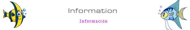 体験ダイビングインフォメーション Information