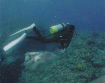 Cleaning of the sea bottom