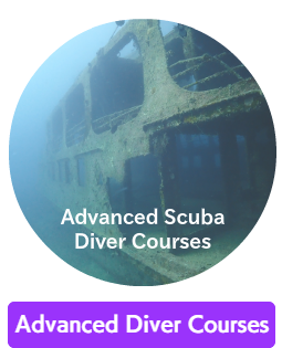 Okinawa Miyakojima Diving NAUI Advanced Diver Courses