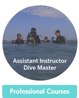 Okinawa Miyakojima Diving NAUI Dive Master & Assistant Instructor Courses