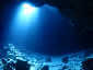 Miyakojima Diving Cross Hole Heller's Barracuda