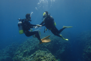Okinawa Miyakojima Refresh diving