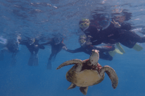 snorkeling