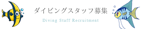 ダイビングスタッフ募集　Diving Staff Recruitment